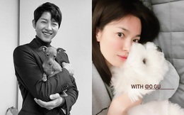 Giữa lúc Song Joong Ki nhận tin dữ, Song Hye Kyo gây tranh cãi vì 1 hành động trên trang cá nhân