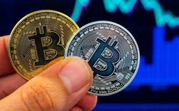 Vừa lập kỷ lục tăng được 2 ngày, Bitcoin lại rớt giá cực sâu!