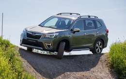 Subaru Forester và Outback sắp có phiên bản chuyên off-road: Mạnh hơn, cao hơn, được gắn mác mới