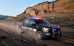 Ford F-150 đỉnh cao cho cảnh sát - Bán tải chuyên bắt tội phạm