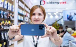 Bảng giá iPhone gần cuối tháng 3 - iPhone 12 giảm gần 7 triệu, iPhone 8 về giá tầm 5 triệu