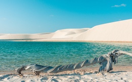 Sa mạc “ảo diệu” nhất thế giới: Gọi là sa mạc nhưng thực ra đầy… nước!