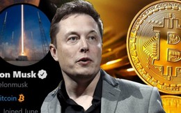 Elon Musk viết 8 chữ, Bitcoin lập tức quay đầu tăng điểm thần kỳ