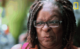 Loài hoa kỳ dị bốc mùi tử thi mà vẫn khiến khách tham quan xếp hàng dài để chiêm ngưỡng