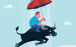 VCB bứt phá ngoạn mục lên trên 100.000 đồng, SHB bất ngờ đảo chiều giảm sàn, VnIndex tăng 12 điểm cuối phiên