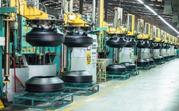 Cao su Đà Nẵng (DRC) dự chi gần 119 tỷ đồng chi trả cổ tức còn lại năm 2020