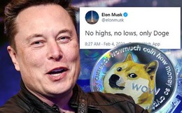 Bạn gái bảo Elon Musk hay &quot;trẻ trâu&quot; trên MXH, dân tình rần rần phản đối, hài hước bảo rằng cứ nhìn giá Bitcoin là biết