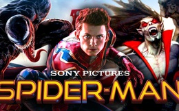 Sony khẳng định sẽ xây vũ trụ Marvel riêng, khả năng cao đòi lại Spider-Man chứ không cho &quot;chung chạ&quot;?