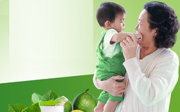 Húng chanh và trái quất - Thảo dược hay giảm ho cho bé