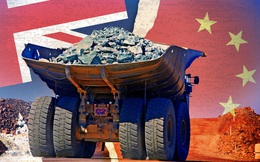 Giá quặng sắt biến động thất thường nhất trên thị trường hàng hóa nguyên liệu