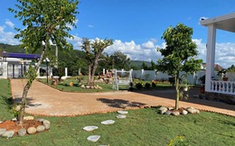 Bỏ phố về rừng làm farmstay: Hết lo mất trộm đến lo mưa bão