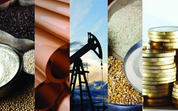 Thị trường ngày 14/8: Giá vàng tăng, dầu giảm, đường cao nhất 4,5 năm, lúa mì cao nhất 8,5 năm