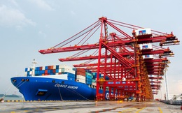 Cuộc khủng hoảng container rỗng chưa được giải quyết, thế giới lại phải đối mặt "cơn khát" tàu vận tải biển