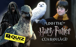 QUIZ: Lạc vào thế giới phù thủy Harry Potter, loài sinh vật nào sau đây chính là &quot;linh thú&quot; phản ánh tâm hồn bạn?