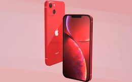 "Soi" chi tiết iPhone 13 trước ngày ra mắt