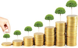 Nhiệt điện Quảng Ninh (QTP) sắp chi 450 tỷ đồng trả cổ tức năm 2020
