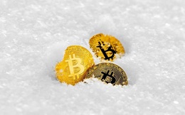 Giá Bitcoin biến động khó lường, báo hiệu cho &quot;một mùa đông Bitcoin&quot; đang đến?