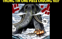 One Piece chap 1037: Cái bóng khổng lồ mới xuất hiện chính là Zunisha, ngày tộc Mink và Wano &quot;về một nhà&quot; sắp đến?