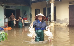 Lũ ở Nghệ An: &quot;nước dâng nhanh quá, chúng tôi biết nhưng trở tay vẫn không kịp&quot;