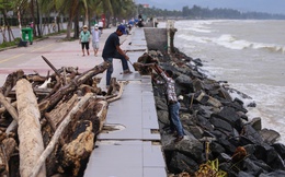 Ảnh: Người Đà Nẵng đổ ra biển nhặt củi, kiếm tiền triệu mỗi ngày