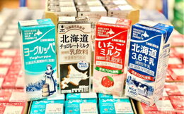 Sữa Hokkaido - Sữa  tươi nguyên chất nội địa Nhật nhiều mẹ Việt Nam tin dùng

