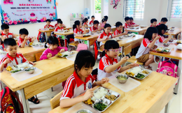 Cải thiện dinh dưỡng cho học sinh tiểu học và bà mẹ, trẻ em Việt Nam bằng phần mềm