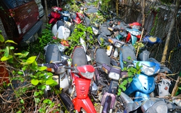 Ảnh, clip: Hàng nghìn chiếc xe máy phơi nắng, dây leo quấn chằng chịt tại bãi trông giữ xe vi phạm ở Hà Nội