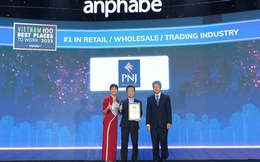 Nơi làm việc tốt nhất Việt Nam: PNJ đứng đầu trong ngành bán lẻ 2022