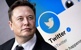 Elon Musk sắp bán thêm &quot;tick vàng&quot; trên Twitter