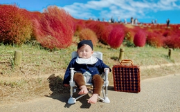 Chuyến du lịch khám phá Nhật Bản của cậu bé 8 tháng tuổi