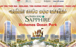 3 liên minh đại lý chính thức phân phối độc quyền Sapphire Vinhomes Ocean Park