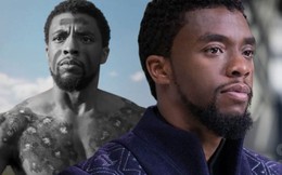 Hoá ra Chadwick Boseman đã từ chối đọc kịch bản Black Panther 2, lý do khiến ai nấy đau lòng