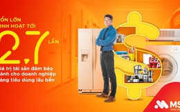 MSB tài trợ vốn "khủng" cho doanh nghiệp ngành hàng tiêu dùng lâu bền