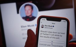 Đã có kết quả cuộc thăm dò ý kiến của Elon Musk về việc có nên từ chức CEO Twitter hay không 