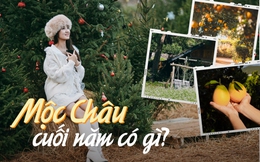 Du lịch Mộc Châu đừng lỡ hẹn với những địa điểm này, toàn tọa độ sống ảo đẹp ngỡ ngàng dịp cuối năm