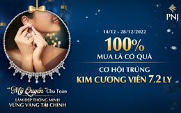 Giải thưởng bộ trang sức kim cương tìm thấy những chủ nhân đầu tiên từ chương trình Giáng sinh PNJ