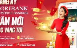 Bùng nổ ưu đãi Tết: Mở tài khoản – Rinh  "Lộc vàng" tại Agribank