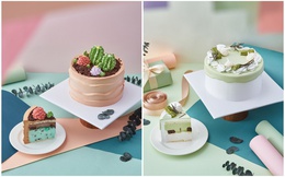 Thương hiệu Snowee ra mắt sản phẩm bánh kem lạnh gelato