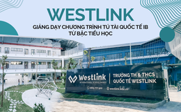 Westlink giảng dạy chương trình Tú tài quốc tế IB từ bậc tiểu học
