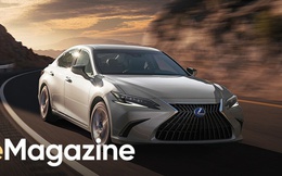 Hybrid - Niềm tin không khoan nhượng dẫn Lexus tới thành công