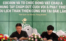 Cocoon - Mỹ phẩm Việt không ngừng hành động góp phần bảo tồn động vật