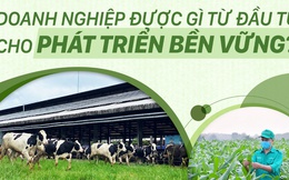 Doanh nghiệp được gì từ đầu tư cho phát triển bền vững?