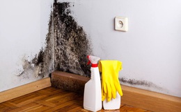Chị em chưa biết 7 bí quyết dọn dẹp này thì còn &quot;phát điên&quot; với nồm ẩm, nấm mốc dễ &quot;xâm chiếm&quot; mọi góc nhà
