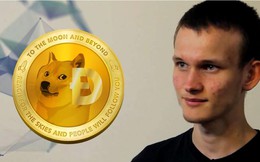 Cha đẻ của Ethereum xác nhận đang hỗ trợ Dogecoin