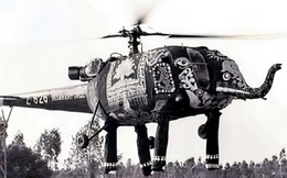 Ấn Độ đã từng sử dụng &quot;trực thăng hình con voi&quot; để bay lượn trên bầu trời