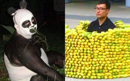 Những bức ảnh cổ quái khiến bạn chả hiểu cái gì đang xảy ra trong hình
