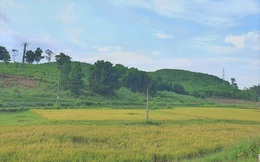 Bắc Giang được chuyển mục đích sử dụng hơn 80ha đất làm khu đô thị hơn 4.000 tỷ