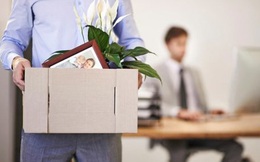 Những trường hợp nào áp dụng kỷ luật công chức bằng hình thức buộc thôi việc?