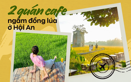 Đi cafe &quot;chill&quot; như ở Hội An: Bàn ghế đặt giữa đồng lúa, tha hồ chụp ảnh check-in trong khung hình đẹp như phim