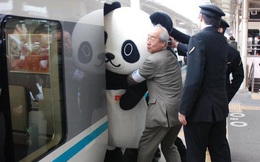 Nghề nhồi hành khách lên tàu điện ngầm ở Nhật: Những cánh tay giúp bạn &quot;bon chen&quot; với đời